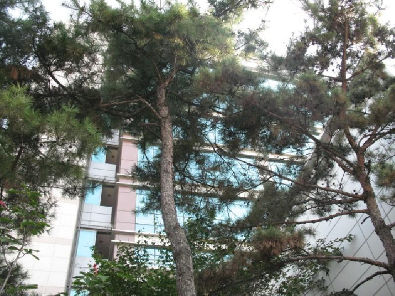 사진 470