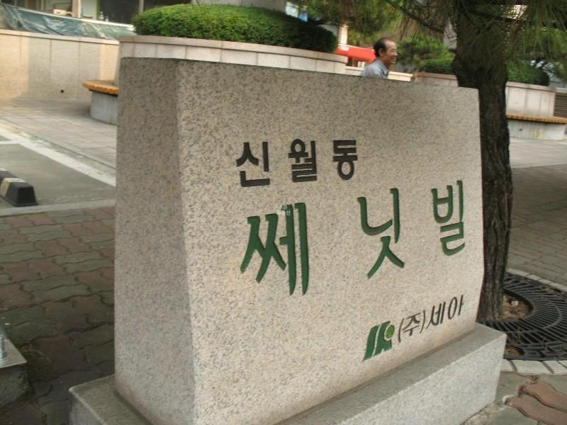 사진 729