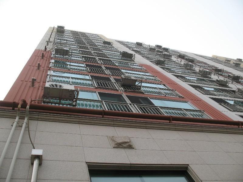 사진 739