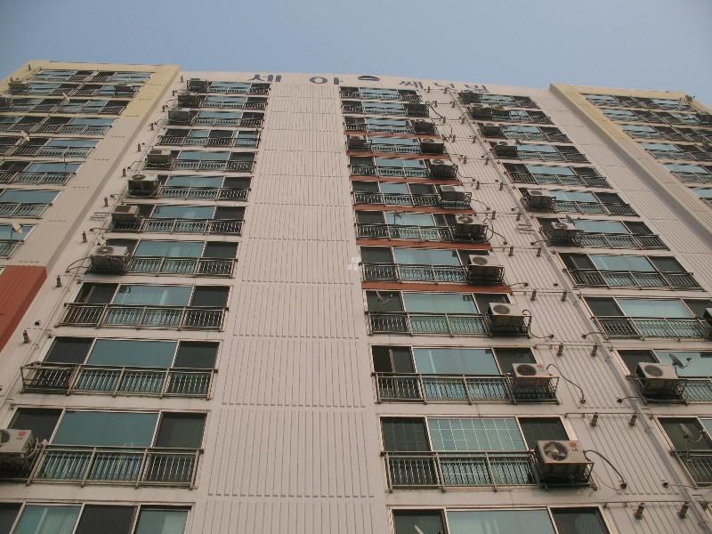 사진 741