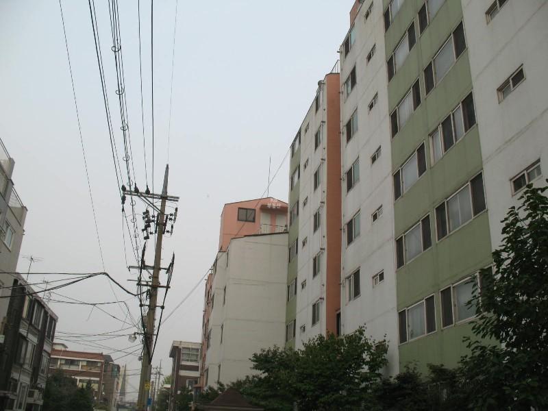 사진 862