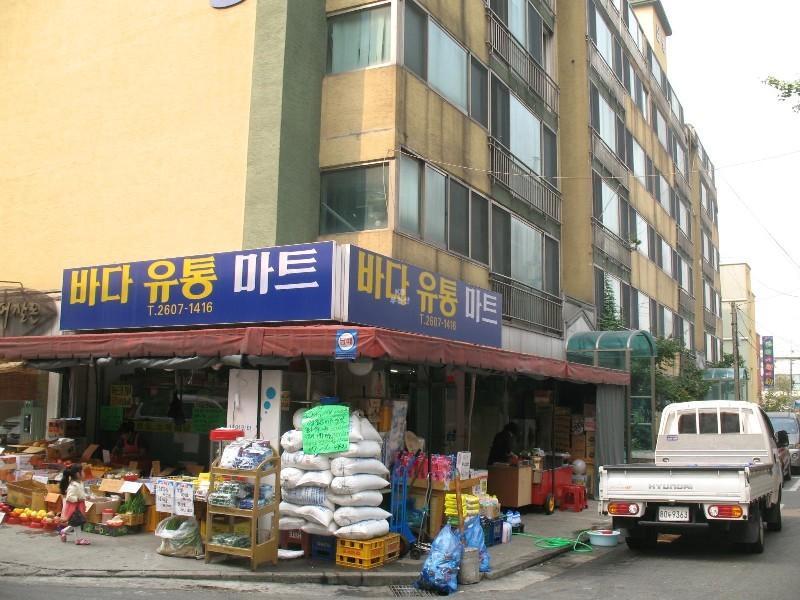 사진 543