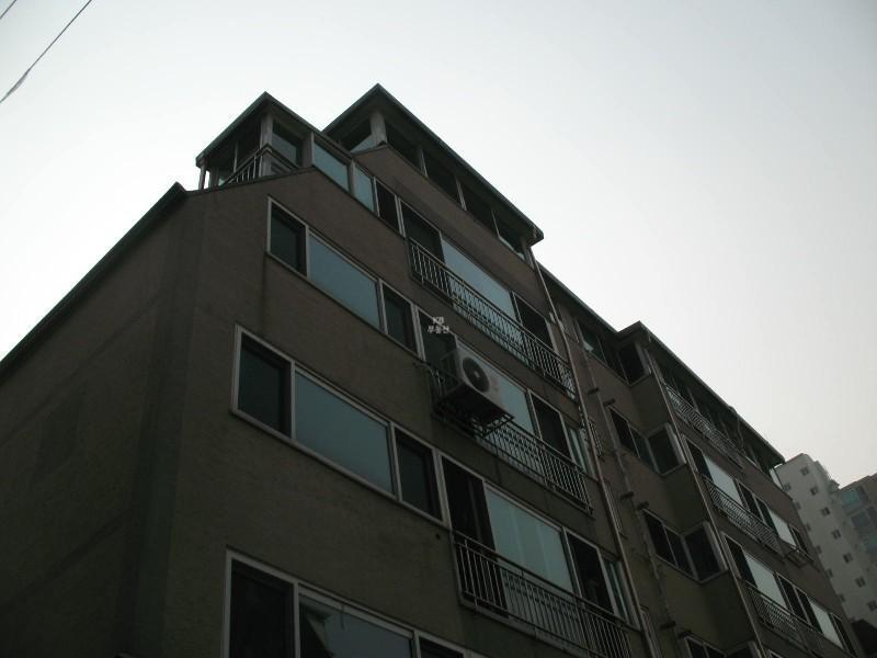 사진 541