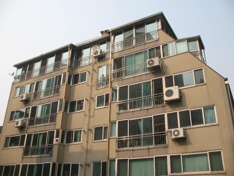 사진 548