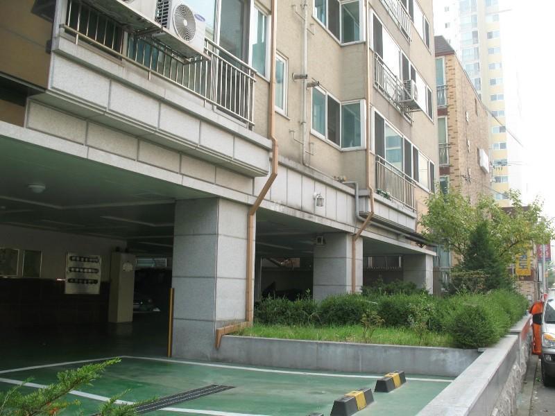 사진 539