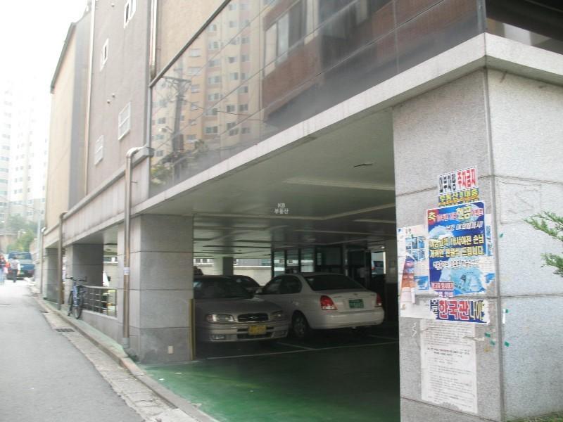 사진 542