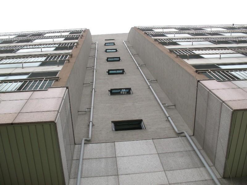 사진 482