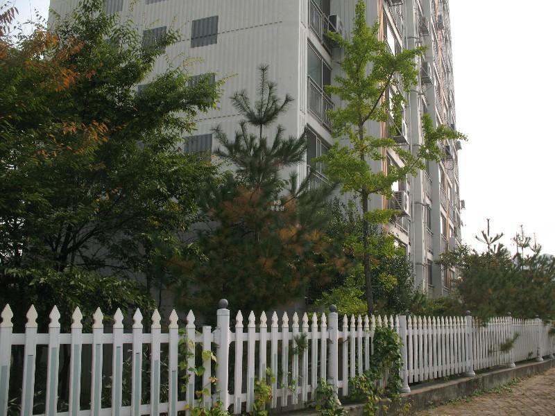 사진 068