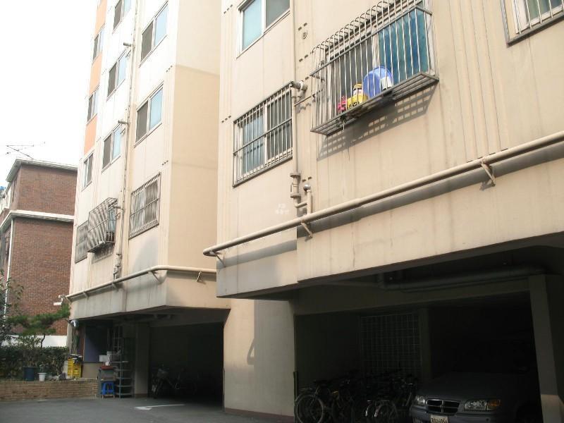 사진 305