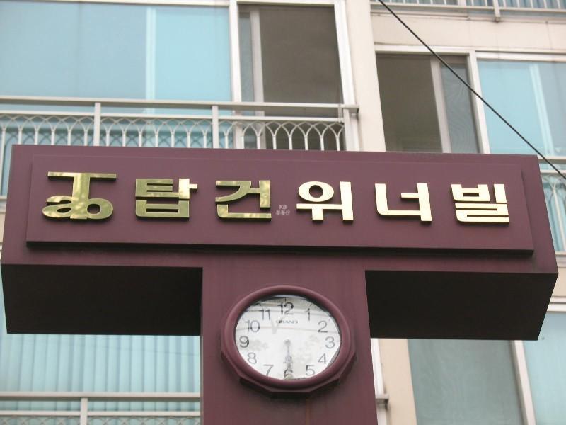사진 298