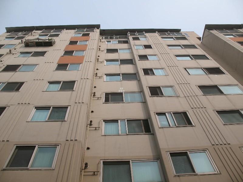 사진 306