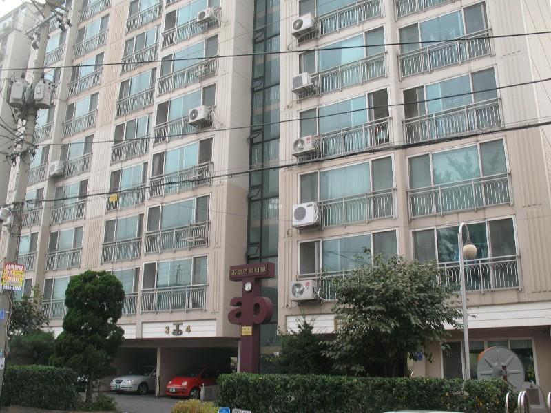 사진 309
