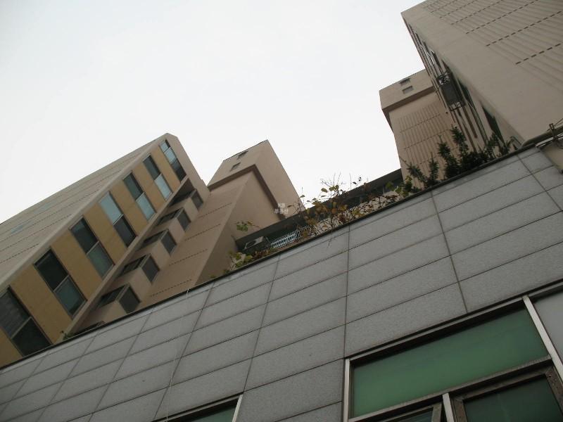 사진 946