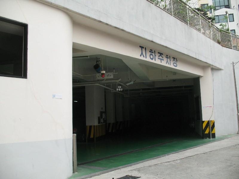 사진 559