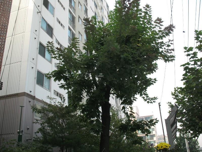사진 016