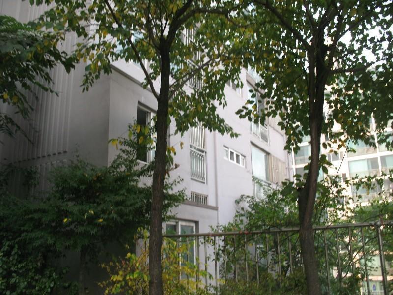 사진 021