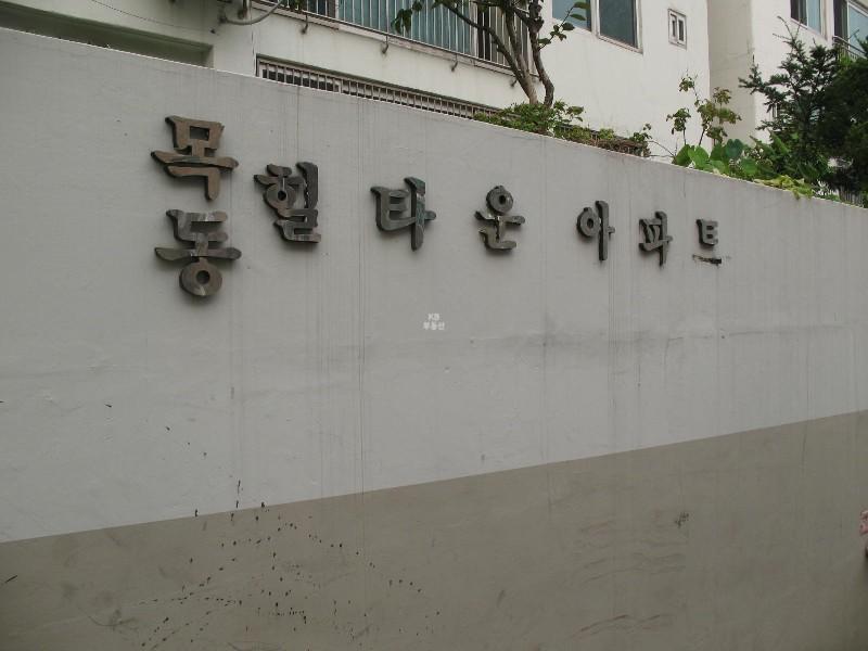 사진 596