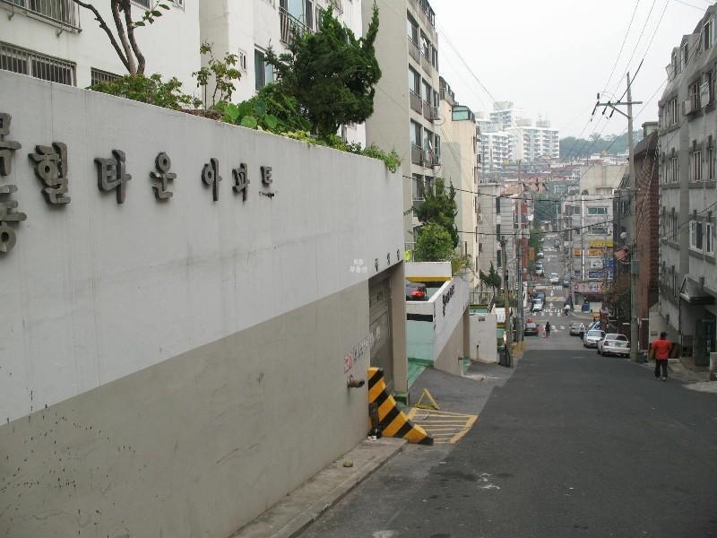 사진 597