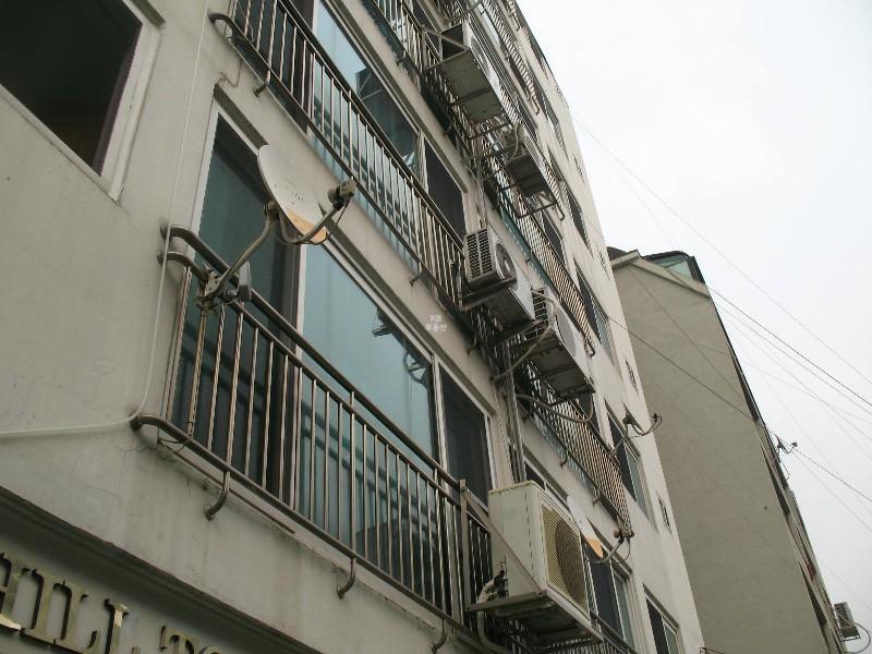 사진 607