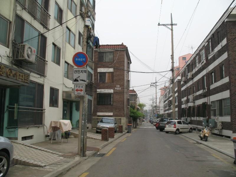 사진 875