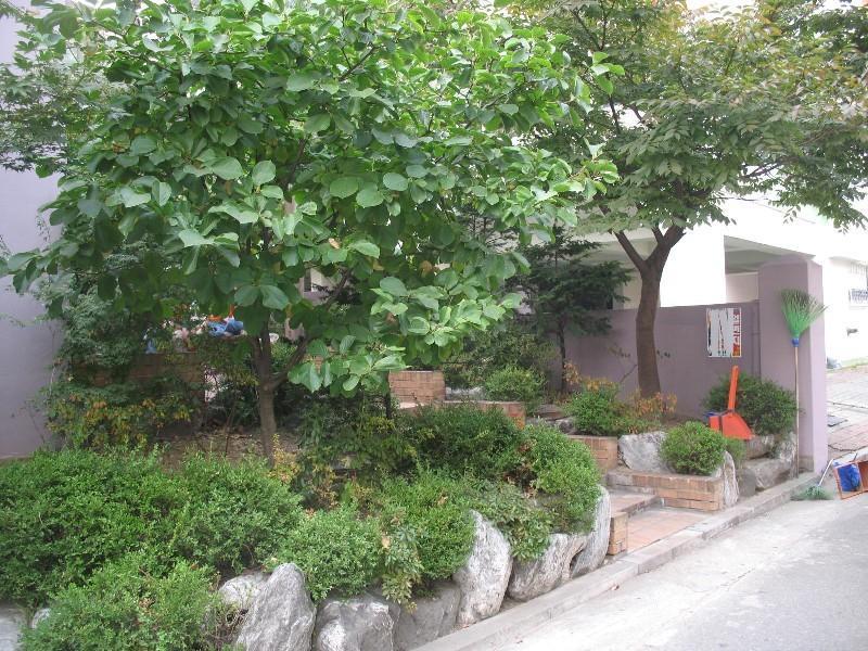 사진 636