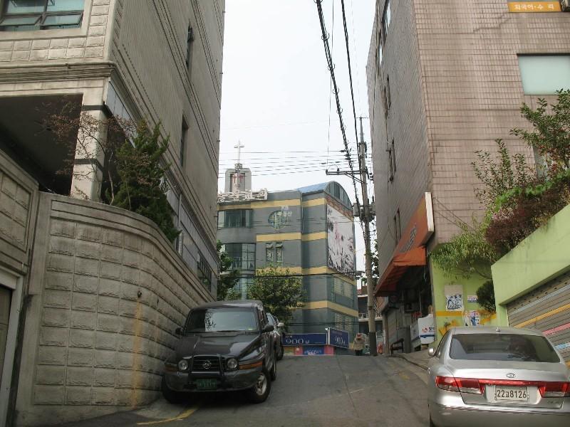 사진 614