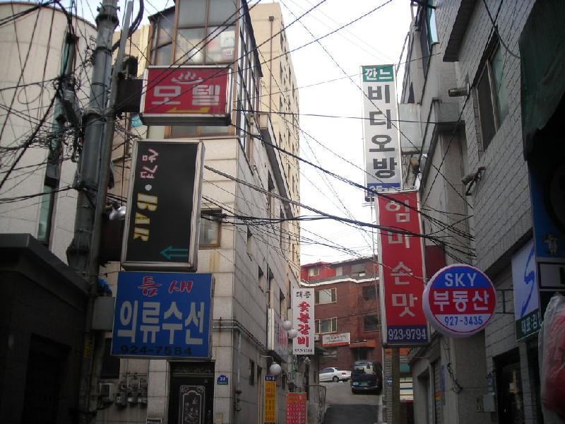 DSCN7081