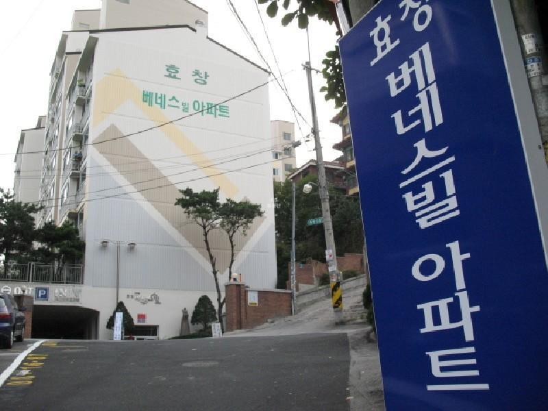 사진 459