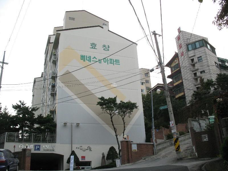사진 460