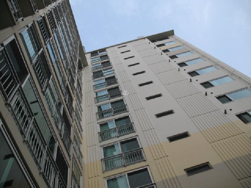 사진 461