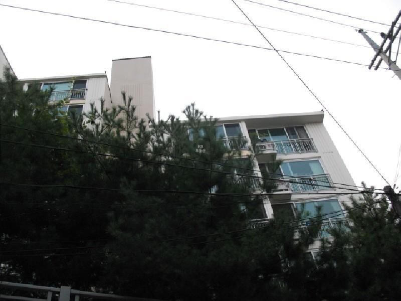 사진 465
