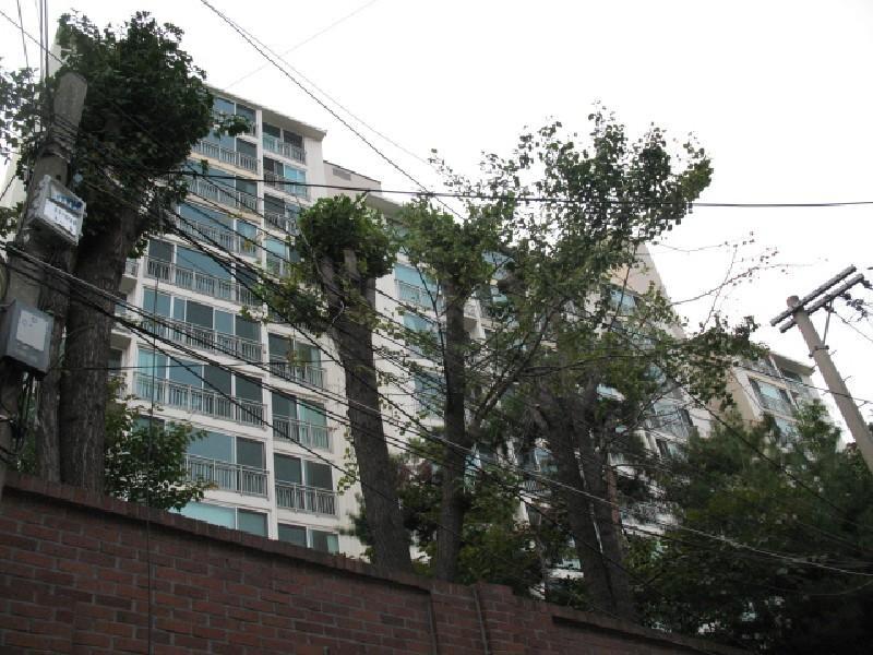 사진 466