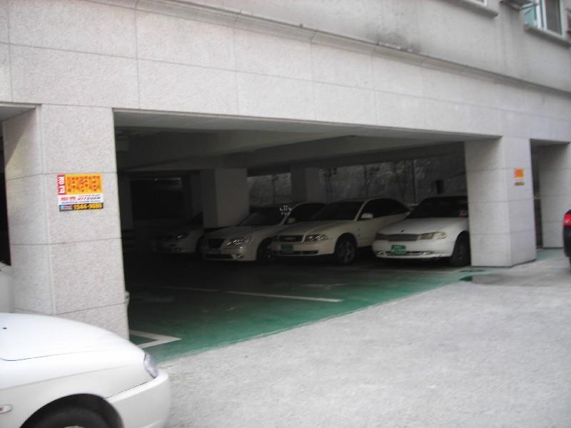DSCN5729