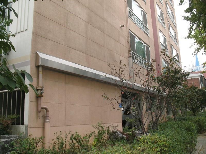 사진 453