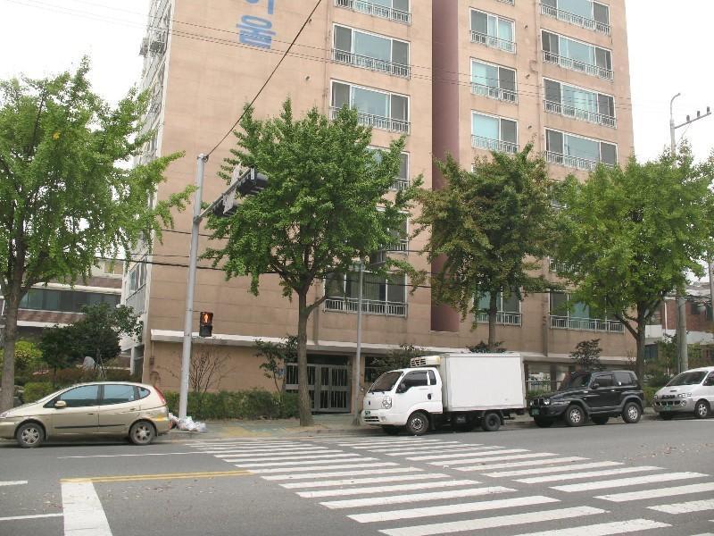 사진 452