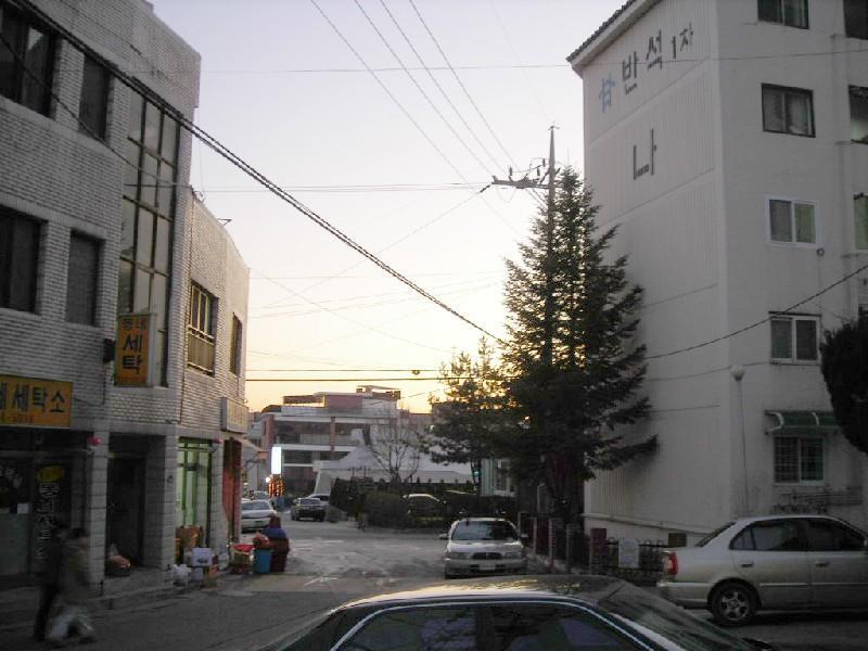 DSCN6768