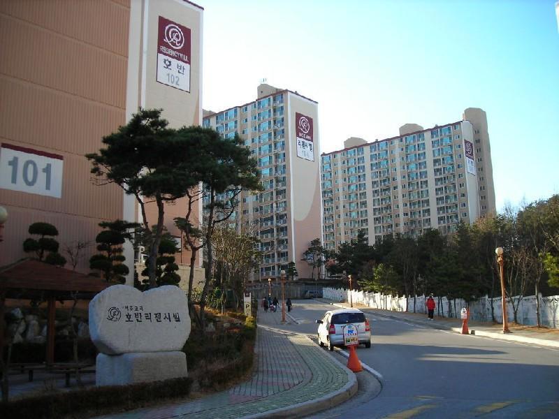 DSCN6673
