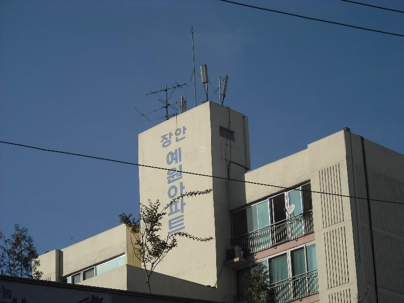DSCF0654