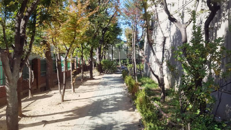 단지 내 산책로에요