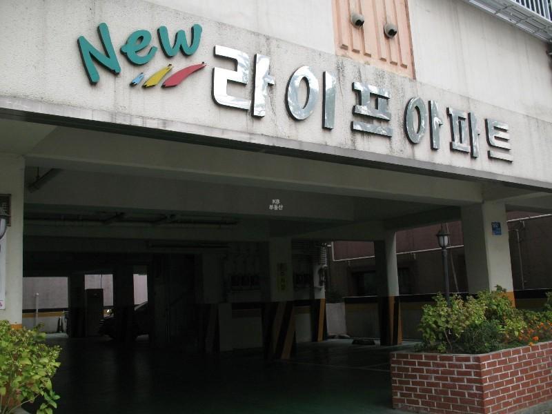 사진 439