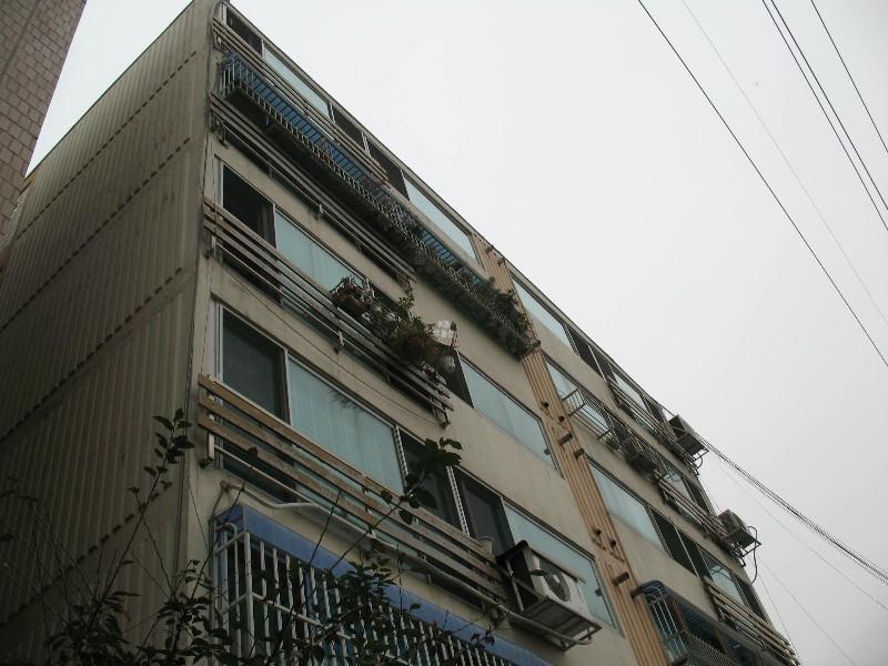 사진 442