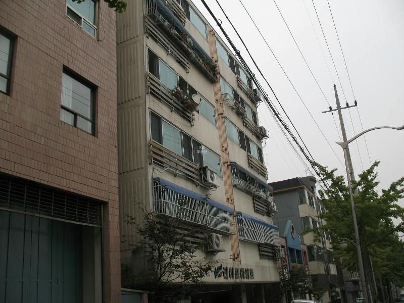 사진 448