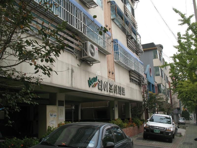 사진 441