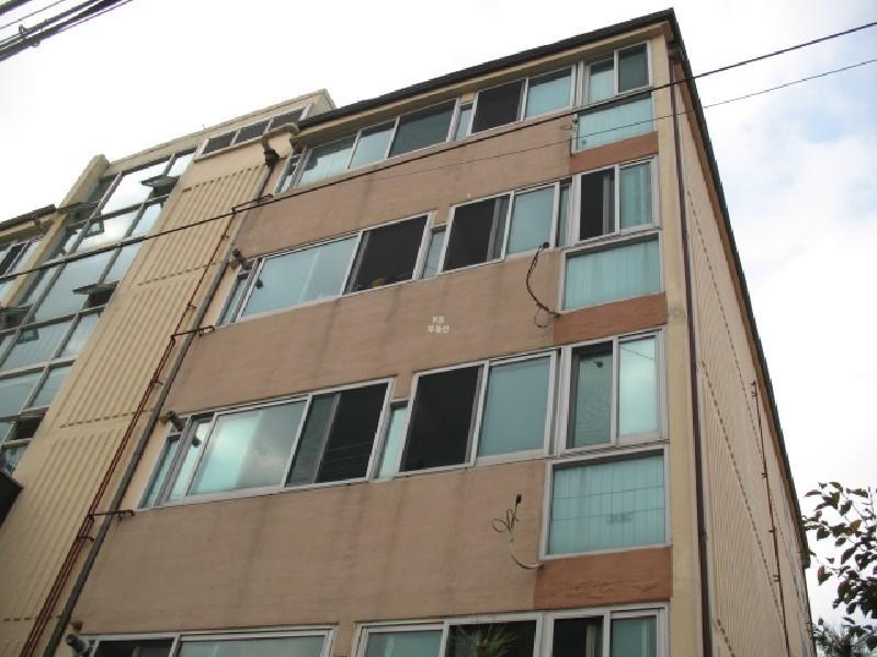 사진 181