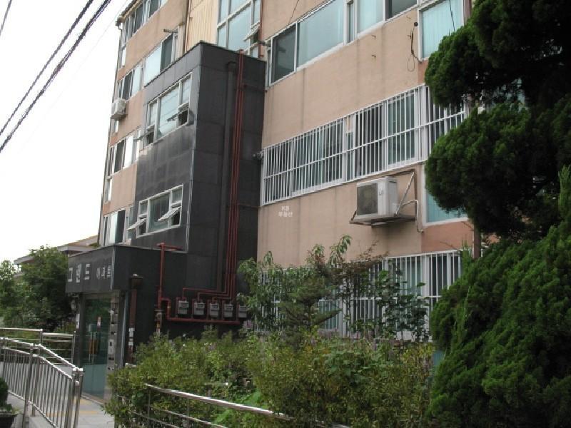사진 183