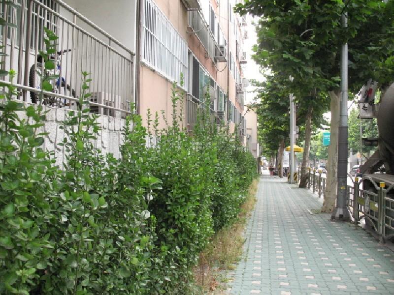 사진 185