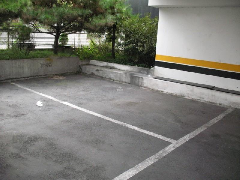 사진 184