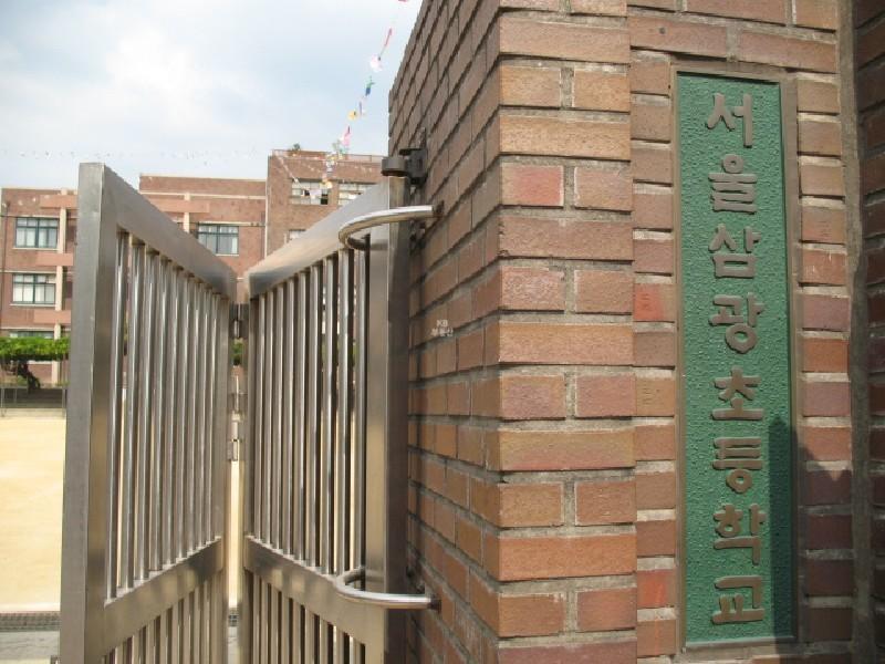 사진 236