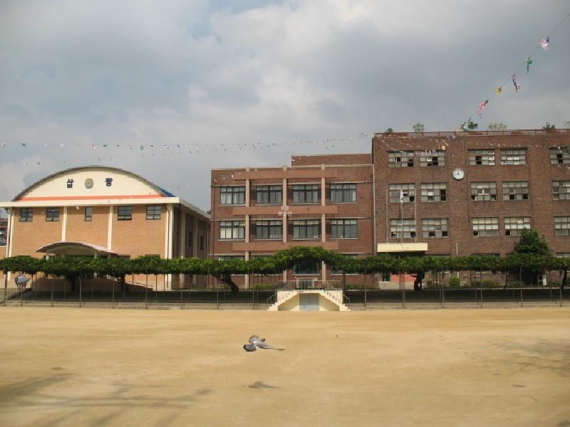사진 237