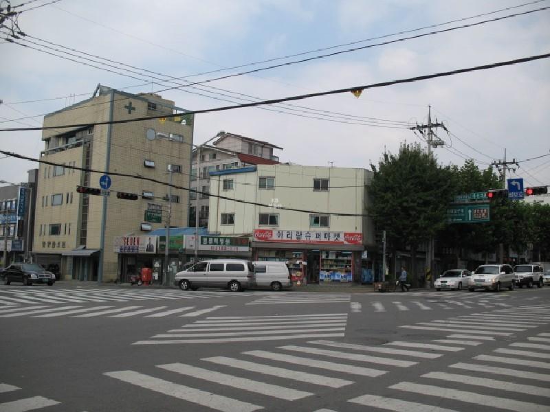 사진 193